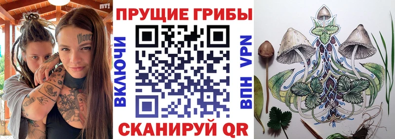 Псилоцибиновые грибы ЛСД  mega как зайти  Вуктыл 